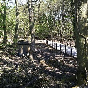 Forest Path - 24th April 2011