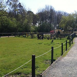 General View - 24th April 2011