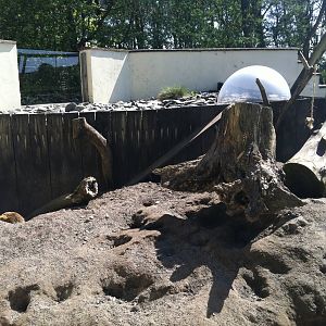Meerkat Enclosure - 24th April 2011