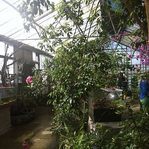 View in the Butterfly Hall- 24th April 2011