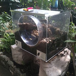 New Tank - 24th April 2011