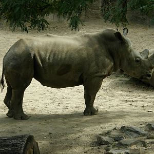PHILLY PA ZOO 2008 015