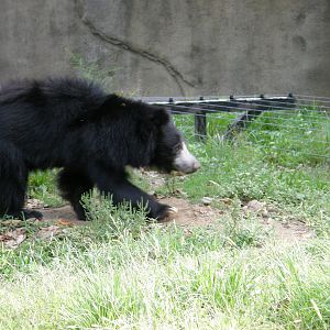PHILLY PA ZOO 2008 022
