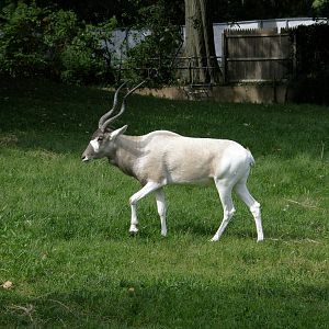 PHILLY PA ZOO 2008 047