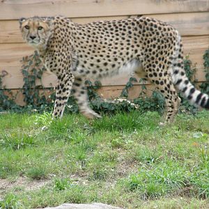 PHILLY PA ZOO 2008 070