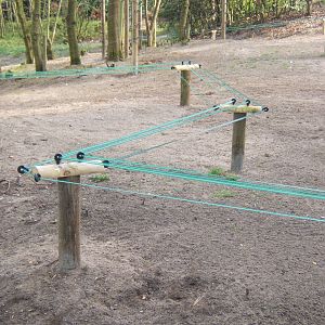 Bactrian Camel fence
