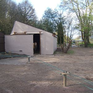 Bactrian Camel house view