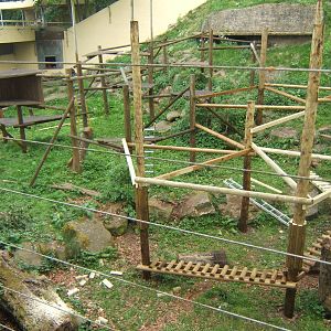Inca`s old enclosure being rebuilt about for the Gelada