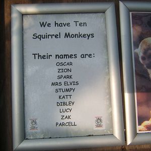 Sign with list of names of Squirrel Monkeys