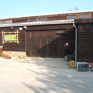 Crocodiles of the World