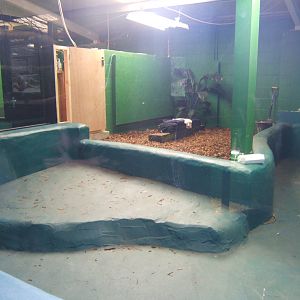 Crocodiles of the World