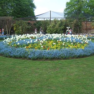 Wonderfull view of the flower beds in the wall garden