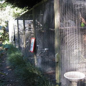 aviaries, Parrot Ranch