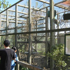 black-capped capuchin cage, Parrot Ranch