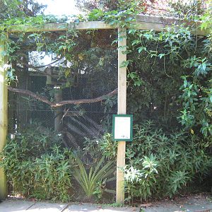 cottontop tamarin cage, Parrot Ranch