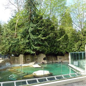 Harbour Porpoise Exhibit
