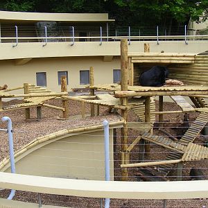 Inca the Asiatic black bear's completed enclosure at Dudley Zoo, 29 April 2