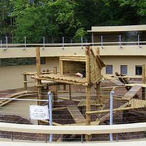 Inca the Asiatic black bear's completed enclosure at Dudley Zoo, 29 April 2