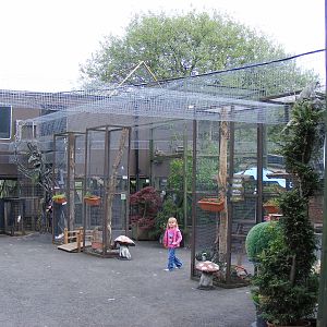 Some of the animal runs at Wickid Pets - Animal Adventure, 29 April 2011