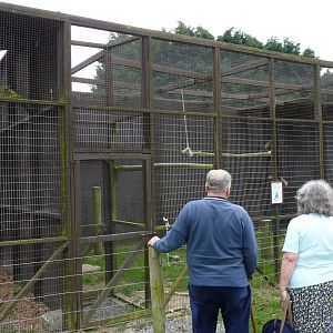 Owl Aviaries at Secret World Wildlife Rescue