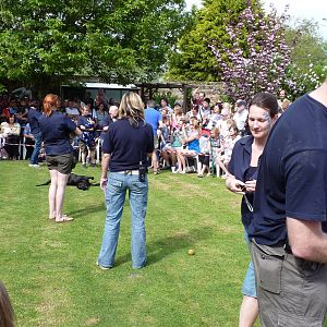 Badger Bonanza on the Lawn at Secret World Wildlife Rescue