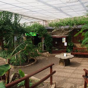 View Inside Tropical House at Long Sutton 25/04/11