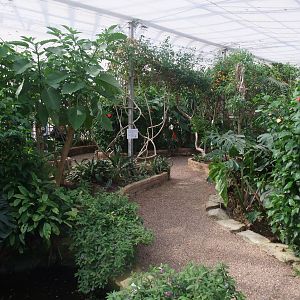 Tropical House at Long Sutton 25/04/11