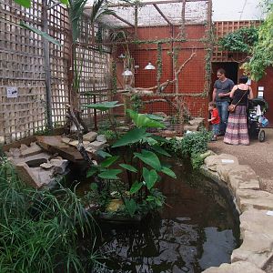 Tropical House at Long Sutton 25/04/11