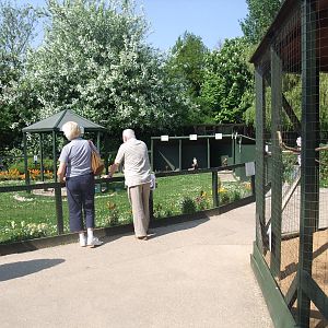Bird of Prey Centre at Long Sutton 25/04/11