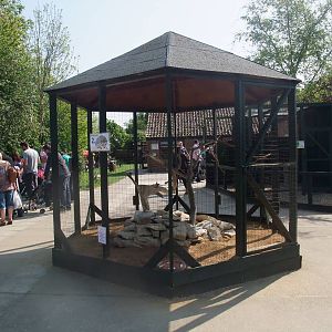 Bird of Prey Centre at Long Sutton 25/04/11