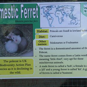 Signage Example at Long Sutton 25/04/11