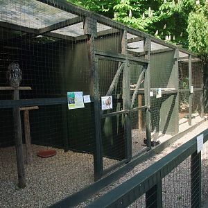 Bird of Prey Centre at Long Sutton 25/04/11