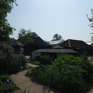 General View at Long Sutton 25/04/11