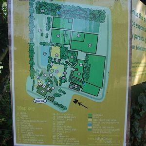 Map of Long Sutton 25/04/11