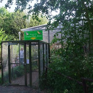 Tropical Bird Aviary at Long Sutton 25/04/11