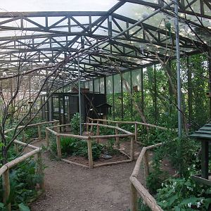 Tropical Bird Aviary at Long Sutton 25/04/11