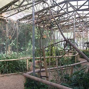 Tropical Bird Aviary at Long Sutton 25/04/11