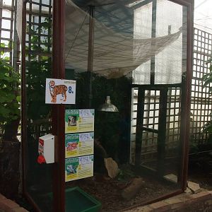 Colubrid Exhibit at Long Sutton 25/04/11