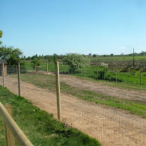 Paddock at Yorkshire WP 02/05/11