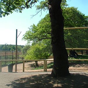 Land of the Tigers at Yorkshire WP 02/05/11