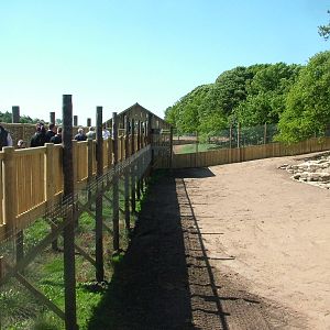 Land of the Tigers at Yorkshire WP 02/05/11