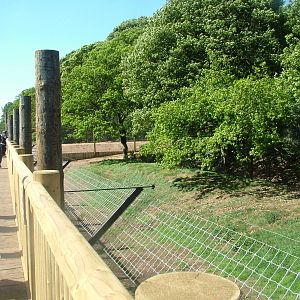 Land of the Tigers at Yorkshire WP 02/05/11