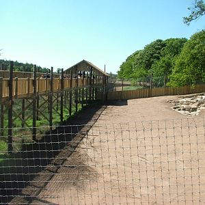 Land of the Tigers at Yorkshire WP 02/05/11