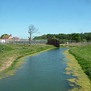 Lion Country at Yorkshire WP 02/05/11