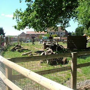 New Raccoon Dog Exhibit at Yorkshire WP 02/05/11