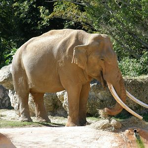 wpalm beach dec08 011