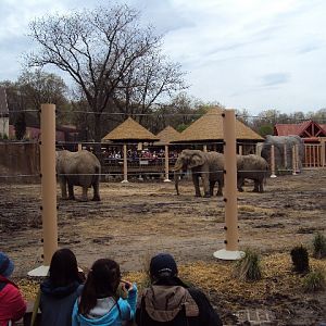 new elephant exhibit at cleveland zoo