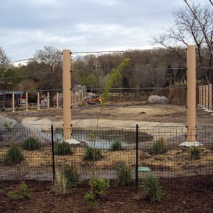 new elephant exhibit at cleveland zoo