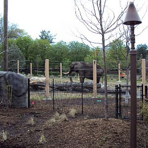 new elephant exhibit at cleveland zoo