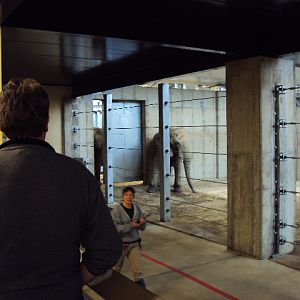 new elephant exhibit at cleveland zoo